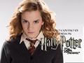 Hermione Granger  - hermione-granger photo