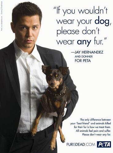 Jay Hernandez and Donner for PETA