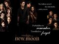 My New Moon Poster - twilight-series fan art
