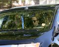 Robert Pattinson was spotted arriving at the set of “Eclipse” - twilight-series photo