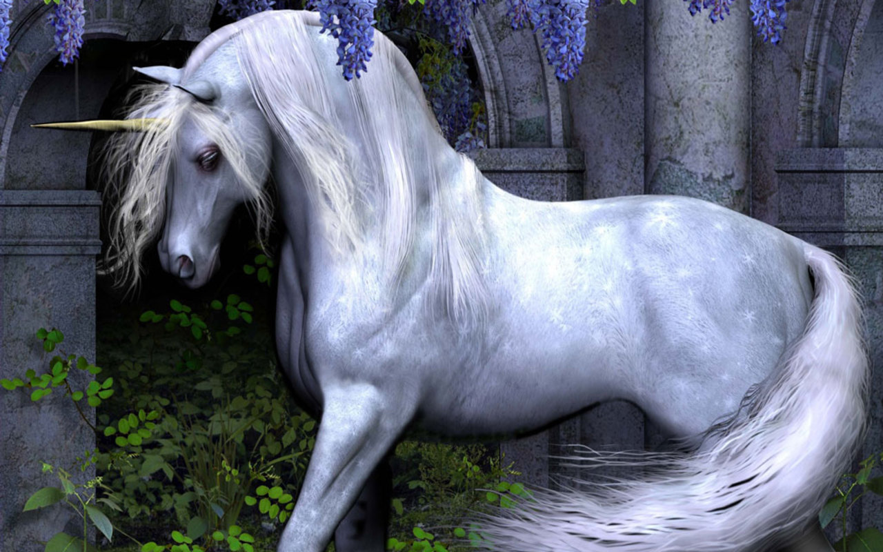 unicorns magical