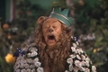 The Cowardly Lion - the-wizard-of-oz photo