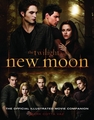 HQ book cover, ilustrated book, thanks libenet - twilight-crepusculo photo