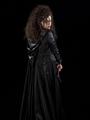 Bellatrix Lestrange - helena-bonham-carter photo
