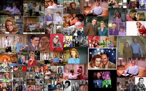 Bewitched collage
