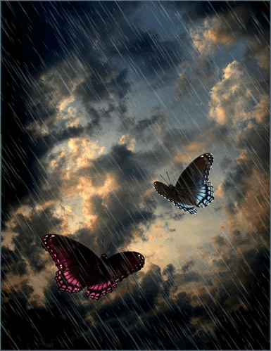  तितलियों In The Rain,Animated