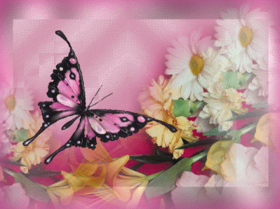  담홍색, 핑크 Butterfly,Animated