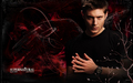 supernatural - Dean in Hell wallpaper