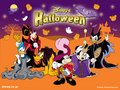 disney - Disney Halloween Wallpaper wallpaper