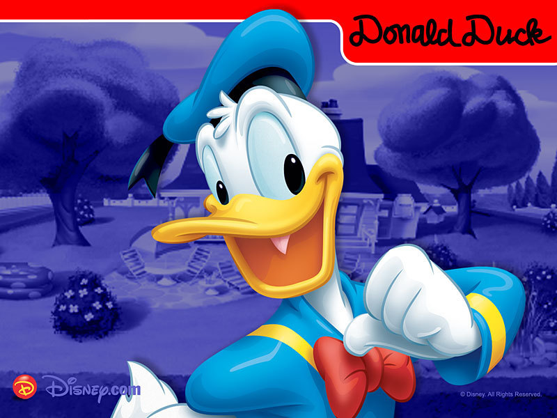 Donald утка - Дисней Обои (7978737) - Fanpop
