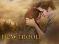 twilight-series - Edward and Bella  wallpaper