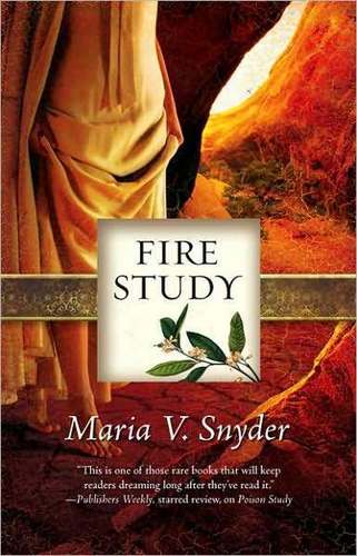  api, kebakaran Study
