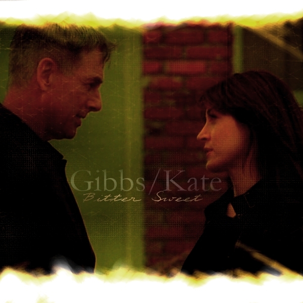 NCIS Kate/Gibbs