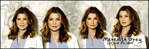  Meredith banner with promo pictures~