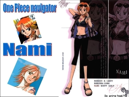 Nami One Piece Photo