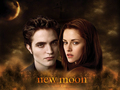 twilight-series - New Moon- Edward and Bella wallpaper