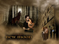 twilight-series - New Moon Wallpaper wallpaper