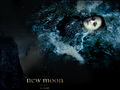 twilight-series - New Moon wallpaper