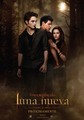 OTHER OFFICIAL POSTERS - twilight-crepusculo photo