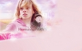 Ron & Hermione mini-banners - harry-potter photo