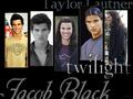 twilight-series - Twilight Saga wallpaper
