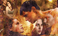 Twilight  Saga - twilight-series wallpaper