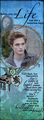 Twilight bookmarks - twilight-series fan art