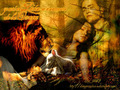 twilight-series - and so the lion fell in love with the lamb wallpaper