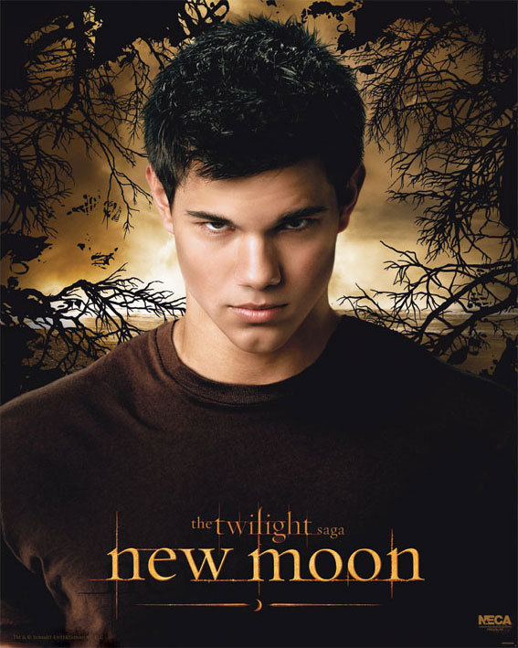 http://images2.fanpop.com/images/photos/7900000/new-edward-and-Jacob-Posters-twilight-series-7994754-567-709.jpg