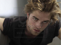 old but new Robert´s Photoshoot - twilight-crepusculo photo