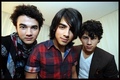 photos by Goedefroit - the-jonas-brothers photo