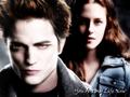 twilight-series - you are my life now wallpaper