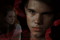 Bella and Jake Eclipse - twilight-series fan art