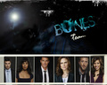 Bones season 5 - bones wallpaper
