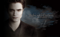 twilight-series - Edward Cullen  wallpaper