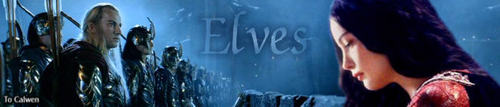 Elves Banner