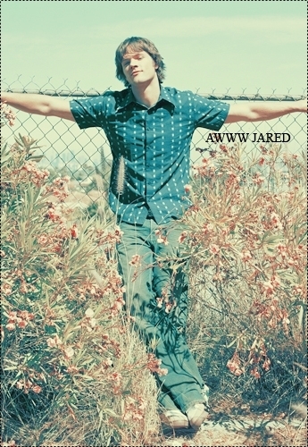  Jared*