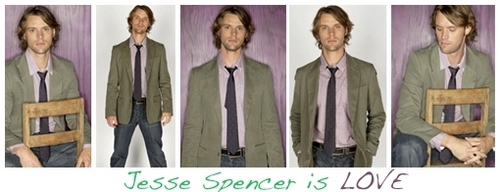  Jesse Spencer is love banners