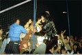 King of Pop, Rock & Soul - michael-jackson photo