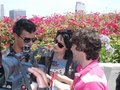More from Comic Con 09 (outdoor interview) - twilight-series photo
