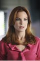 Promotional Photos 6x02  - desperate-housewives photo
