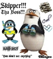 Skipper Tha Boss - penguins-of-madagascar fan art