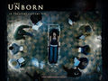 horror-movies - The Unborn wallpaper