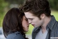 Twilight: New Moon - twilight-series photo