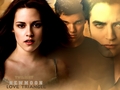 Twilight Saga - twilight-series wallpaper