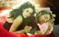 twilight-series - rob and kristen and apple too wallpaper