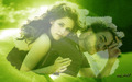 twilight-series - rob and kristen and apple too  wallpaper