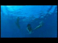 swimming underwater - h2o-just-add-water photo