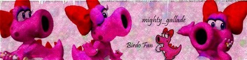 Birdo banner