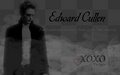 twilight-series - Edward wallpaper